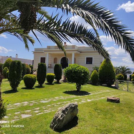 Luxury Villa Thea โวโลส ภายนอก รูปภาพ