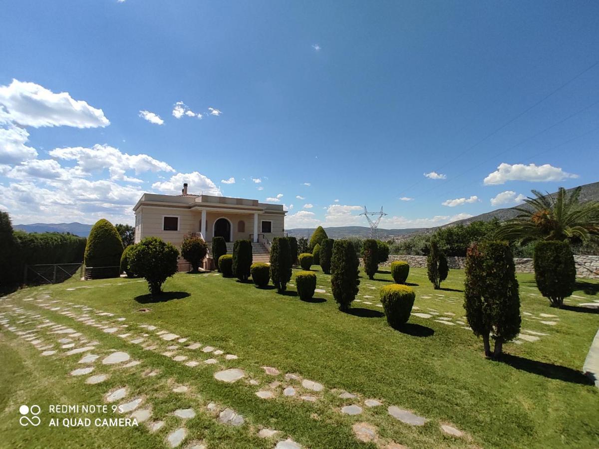 Luxury Villa Thea โวโลส ภายนอก รูปภาพ