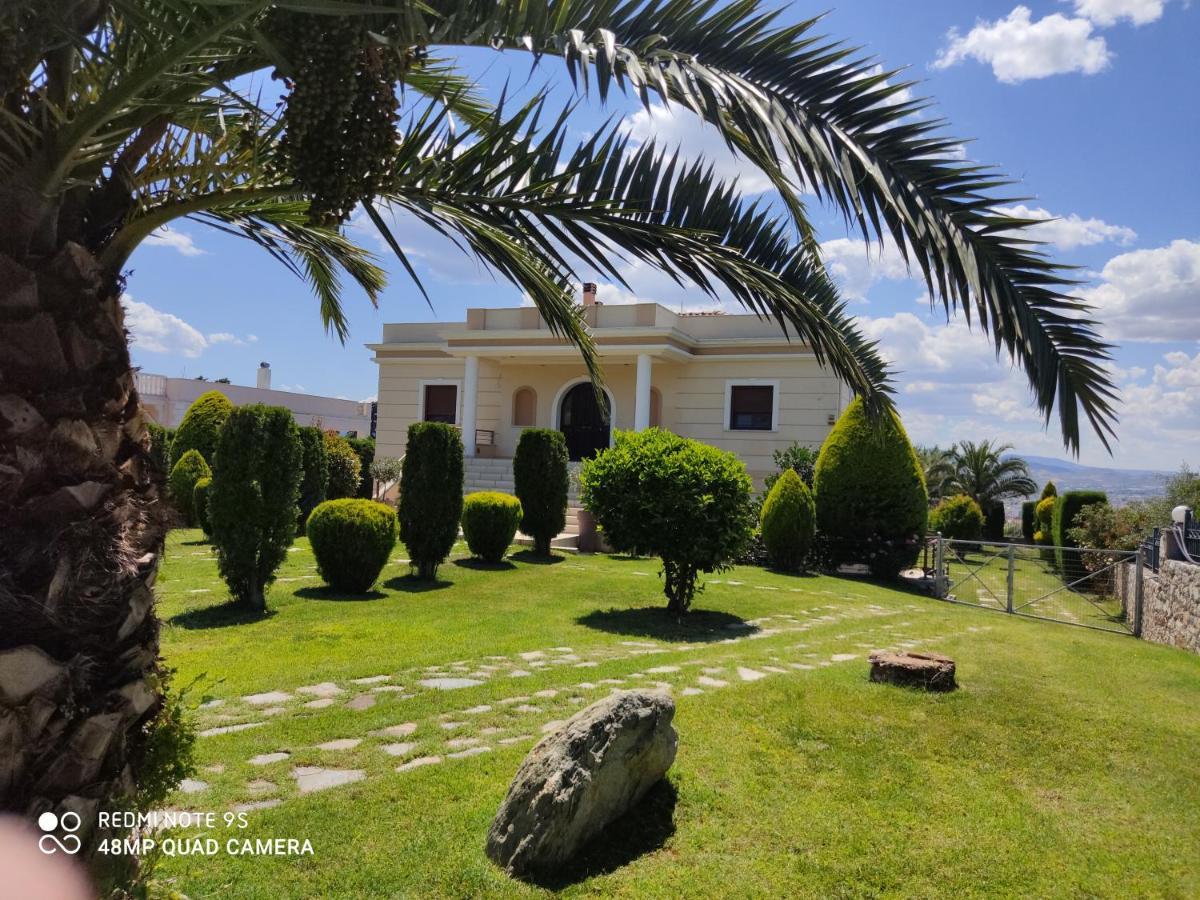 Luxury Villa Thea โวโลส ภายนอก รูปภาพ