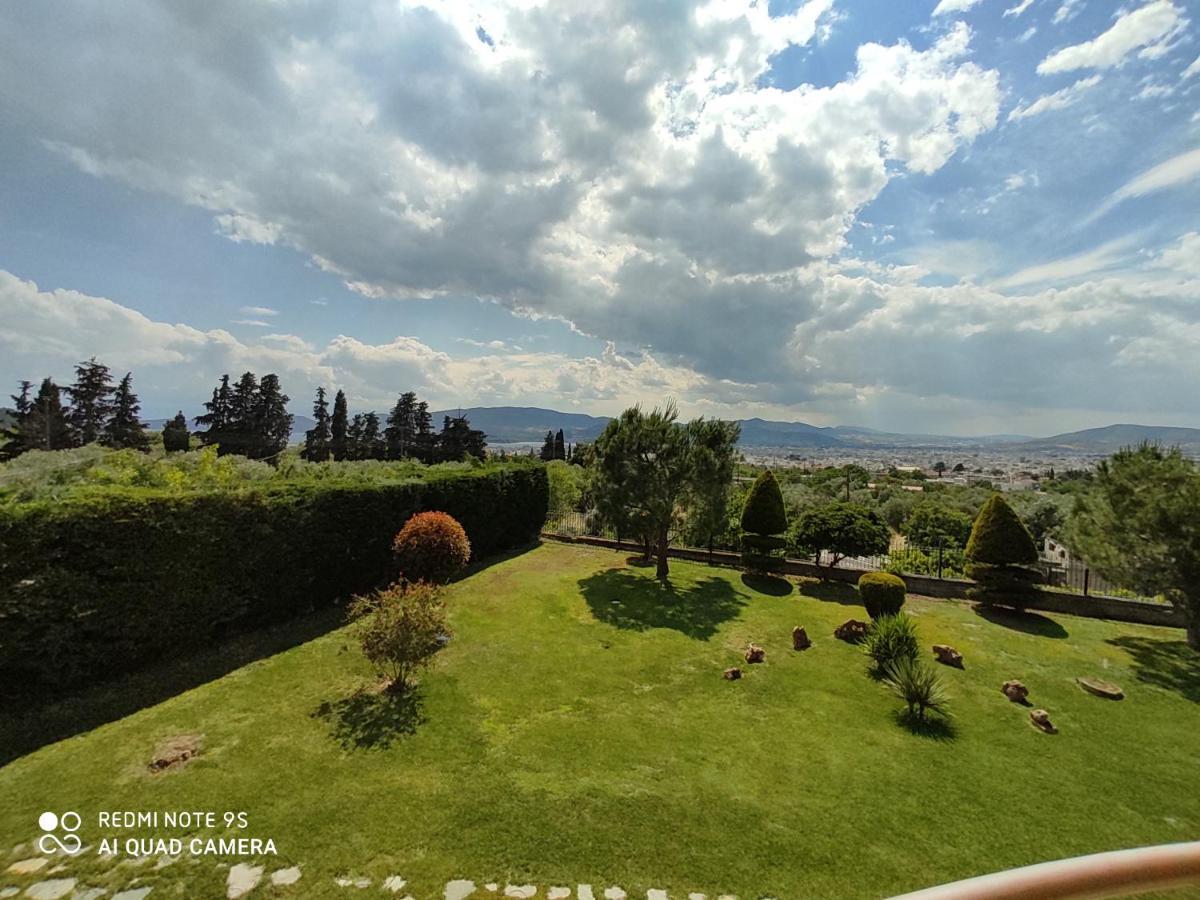 Luxury Villa Thea โวโลส ภายนอก รูปภาพ